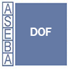 Direct Observation Form